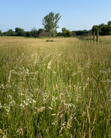 Upper Midwest