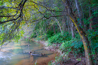 Southern Appalachia 1
